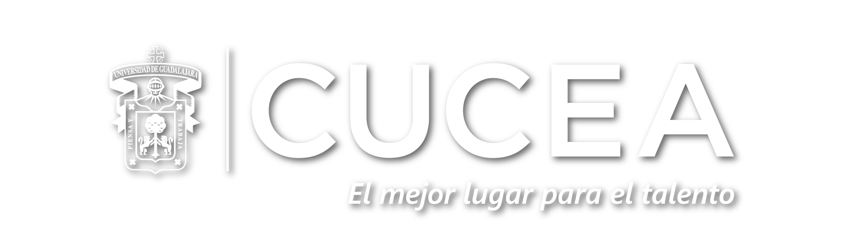 Universidad de Guadalajara
